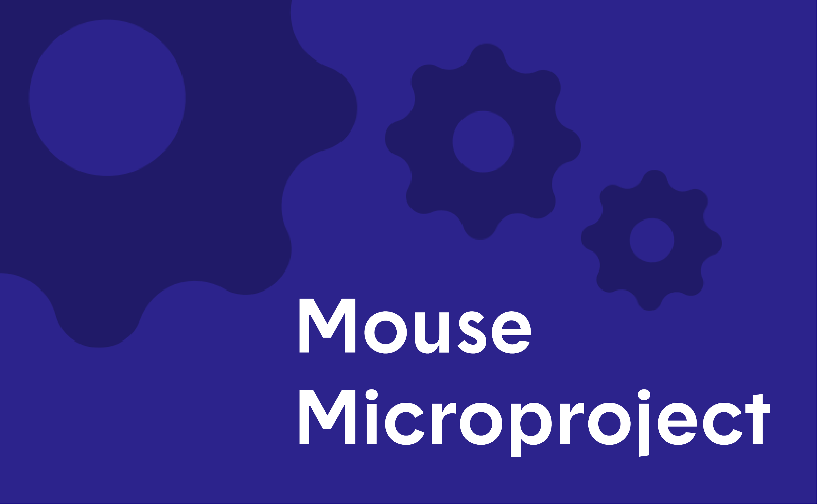 Blue image with three dark blue gears and white text reading "Mouse Microproject"